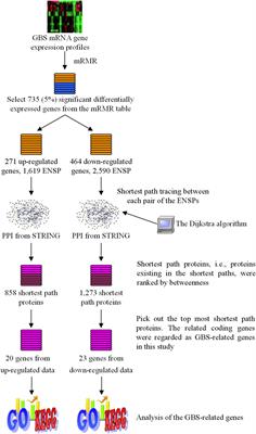 Computational Identification of Guillain-Barré Syndrome-Related Genes by an mRNA Gene Expression Profile and a Protein–Protein Interaction Network